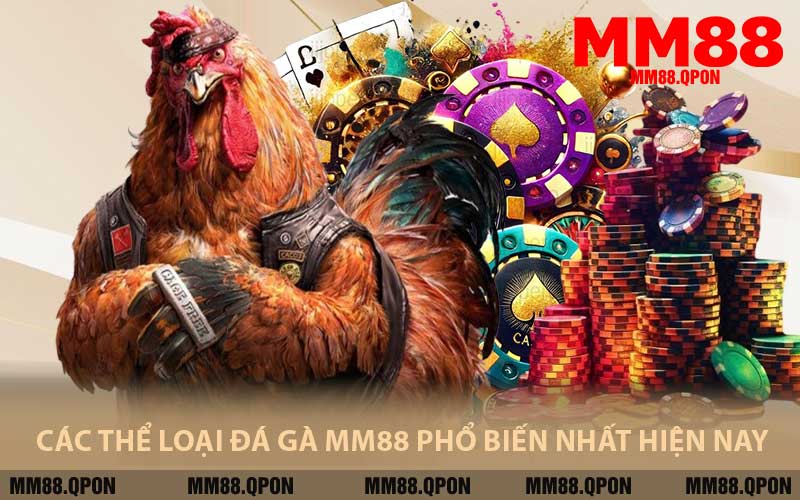 Các Thể Loại Đá Gà MM88 Phổ Biến Nhất Hiện Nay