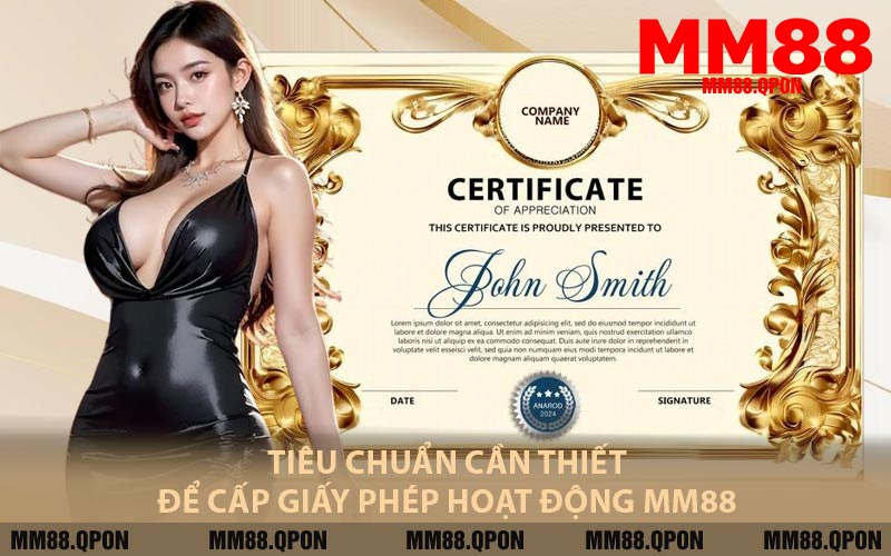 Tiêu Chuẩn Cần Thiết Để Cấp Giấy Phép Hoạt Động MM88