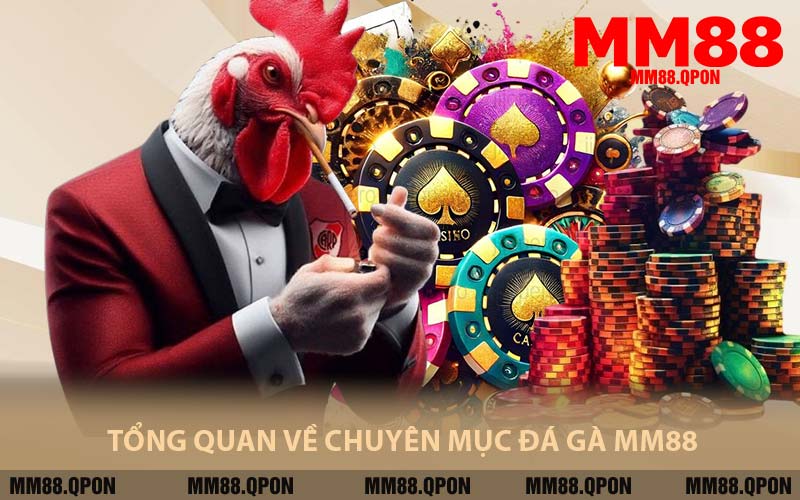 Tổng Quan Về Chuyên Mục đá gà MM88